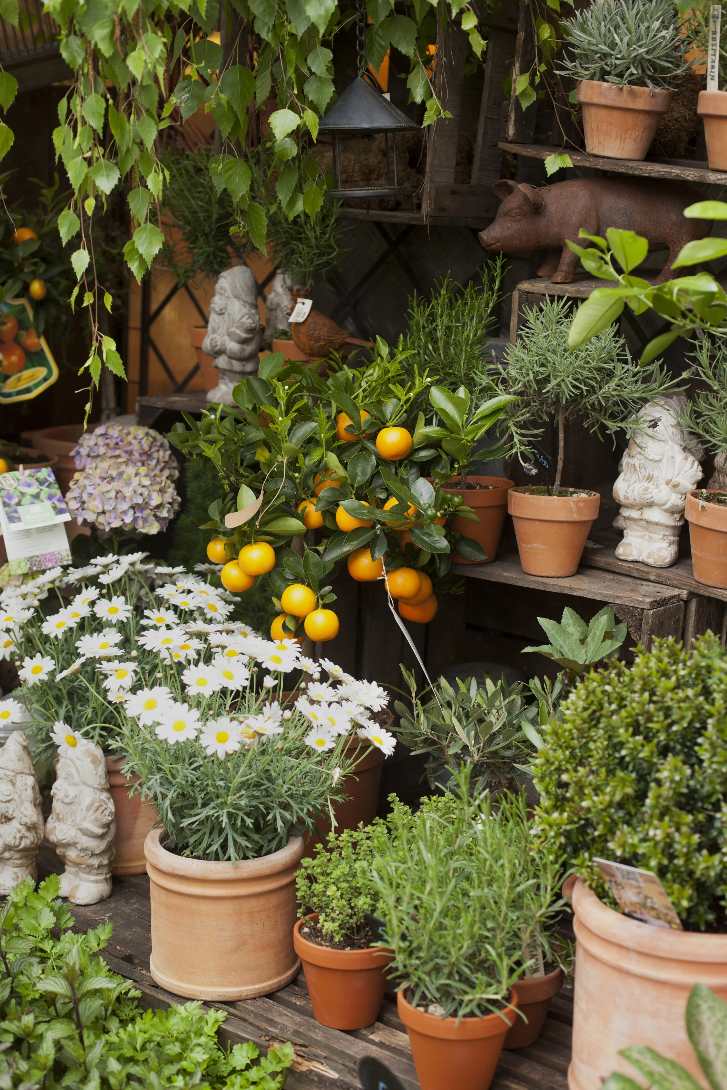 untitled-18 copy.jpg