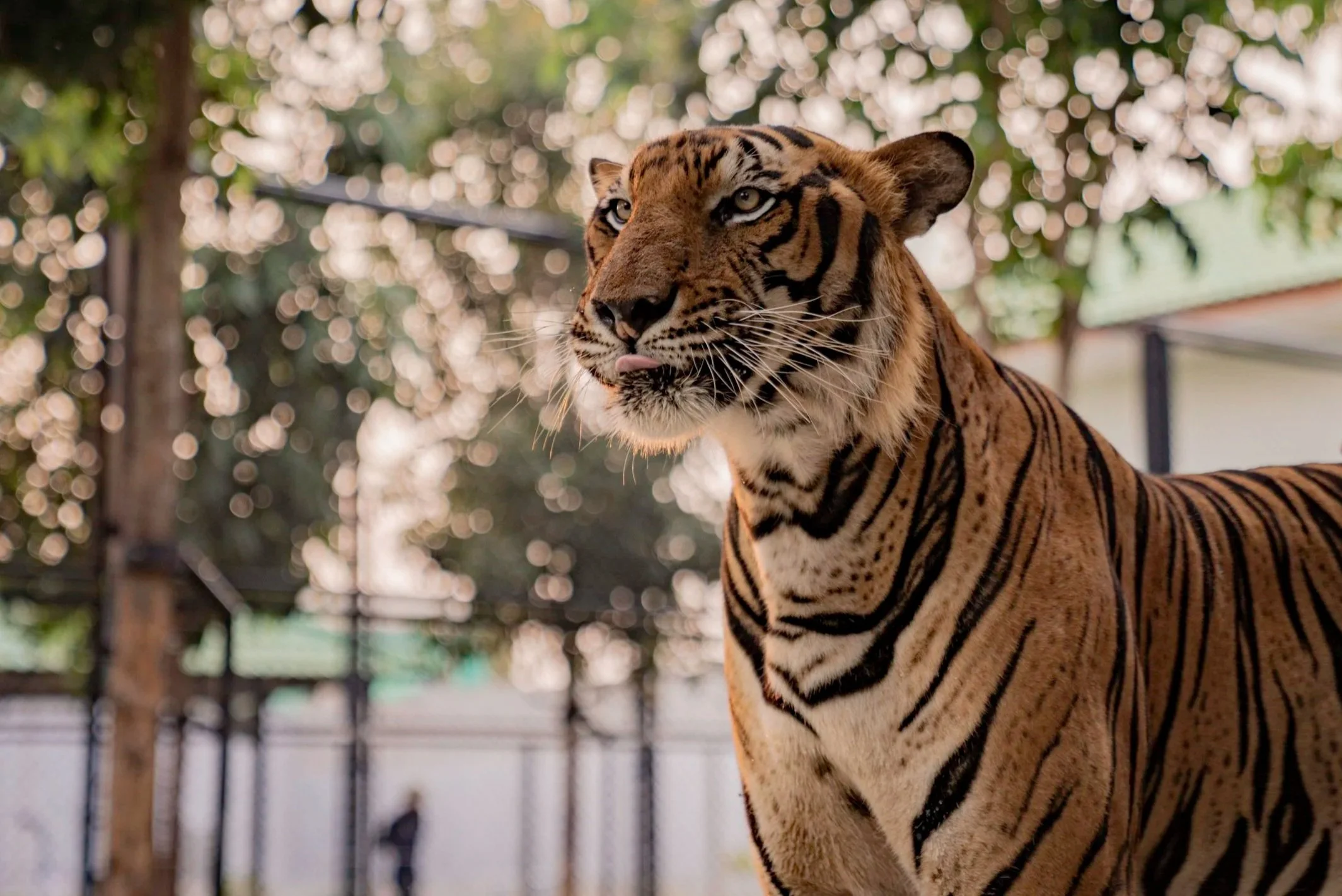 BGBW_Bangkok_HL-188.jpg