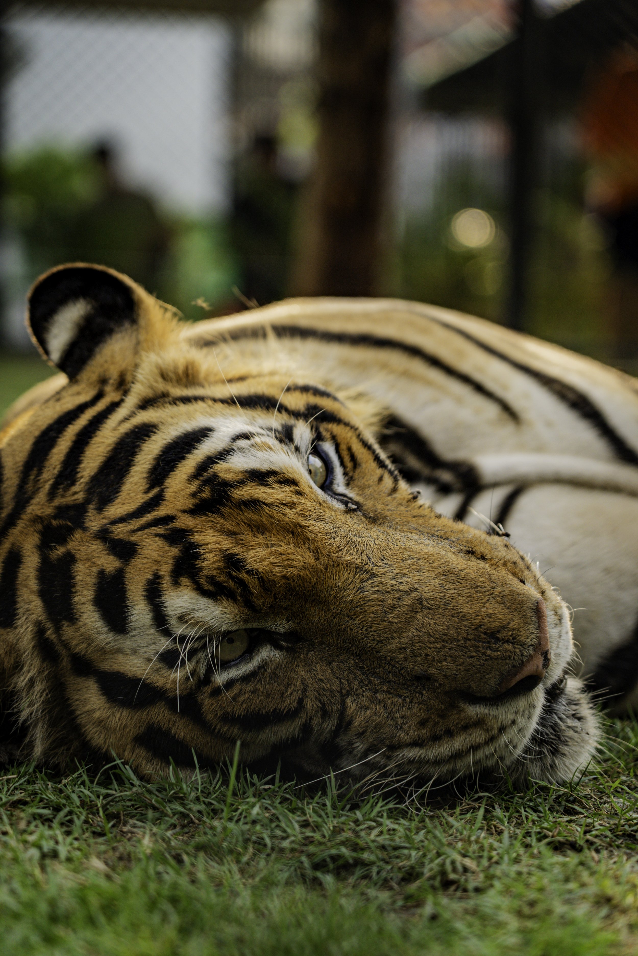 BGBW_Bangkok_HL-179.jpg