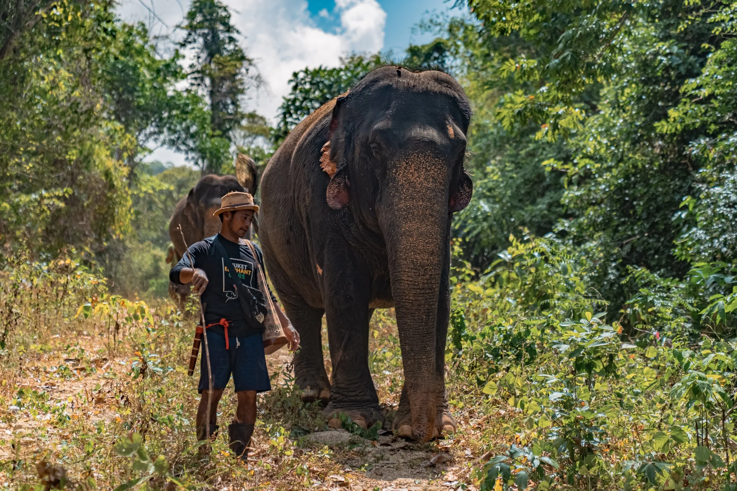 PHUKET_HL-107.jpg