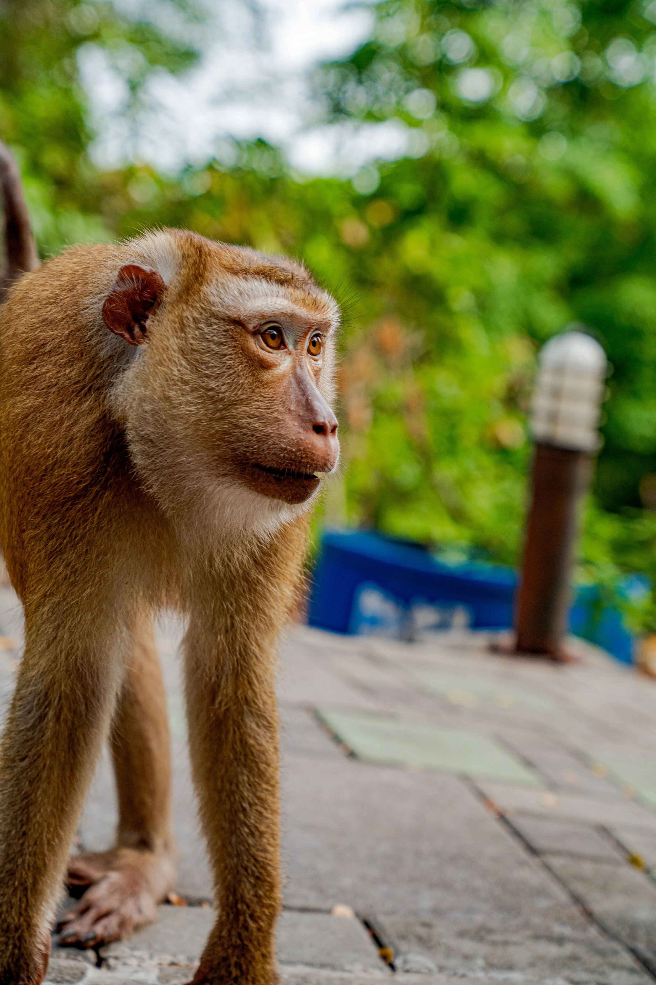 PHUKET_HL-72.jpg