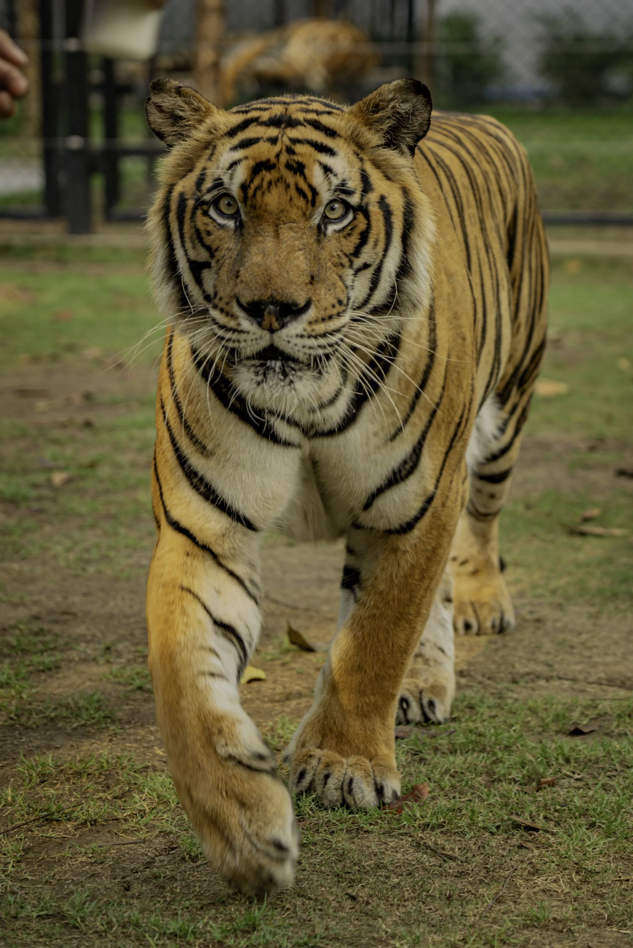 BGBW_Bangkok_HL-165.jpg
