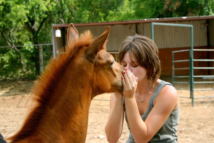 Ah yes, the mullet/boy haircut of my teenage years. But always kissing the softest nose.
