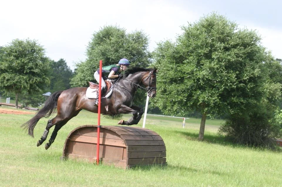I’m still not sure I ever aimed him at any fence that felt like he had to really try for.