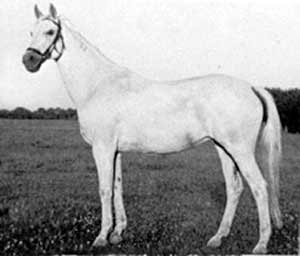 3377-0.jpg