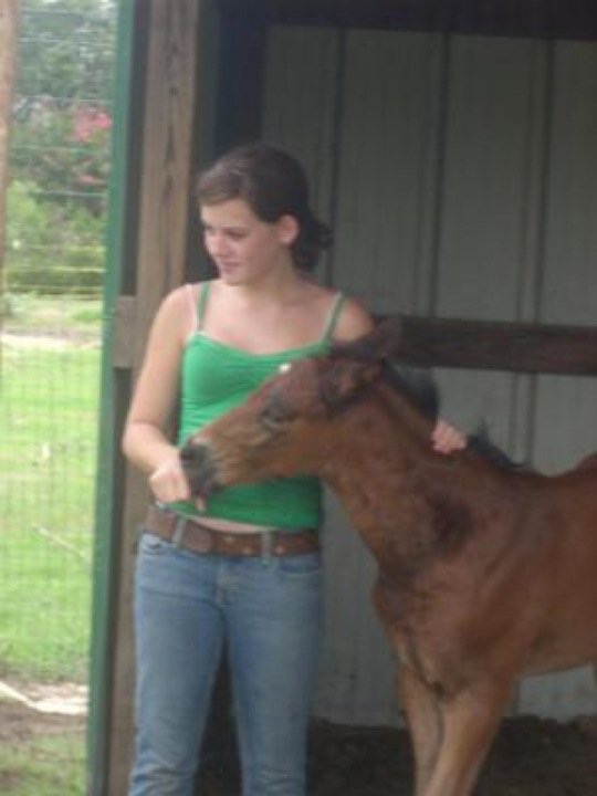 Baby Bailey and the Fair Rock/Huno filly.