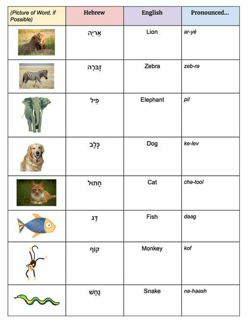 Ivrit Update – Animal Vocabulary Unit — Jewish Kids Groups