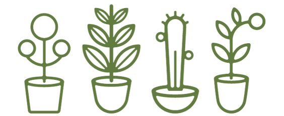 cacti.png