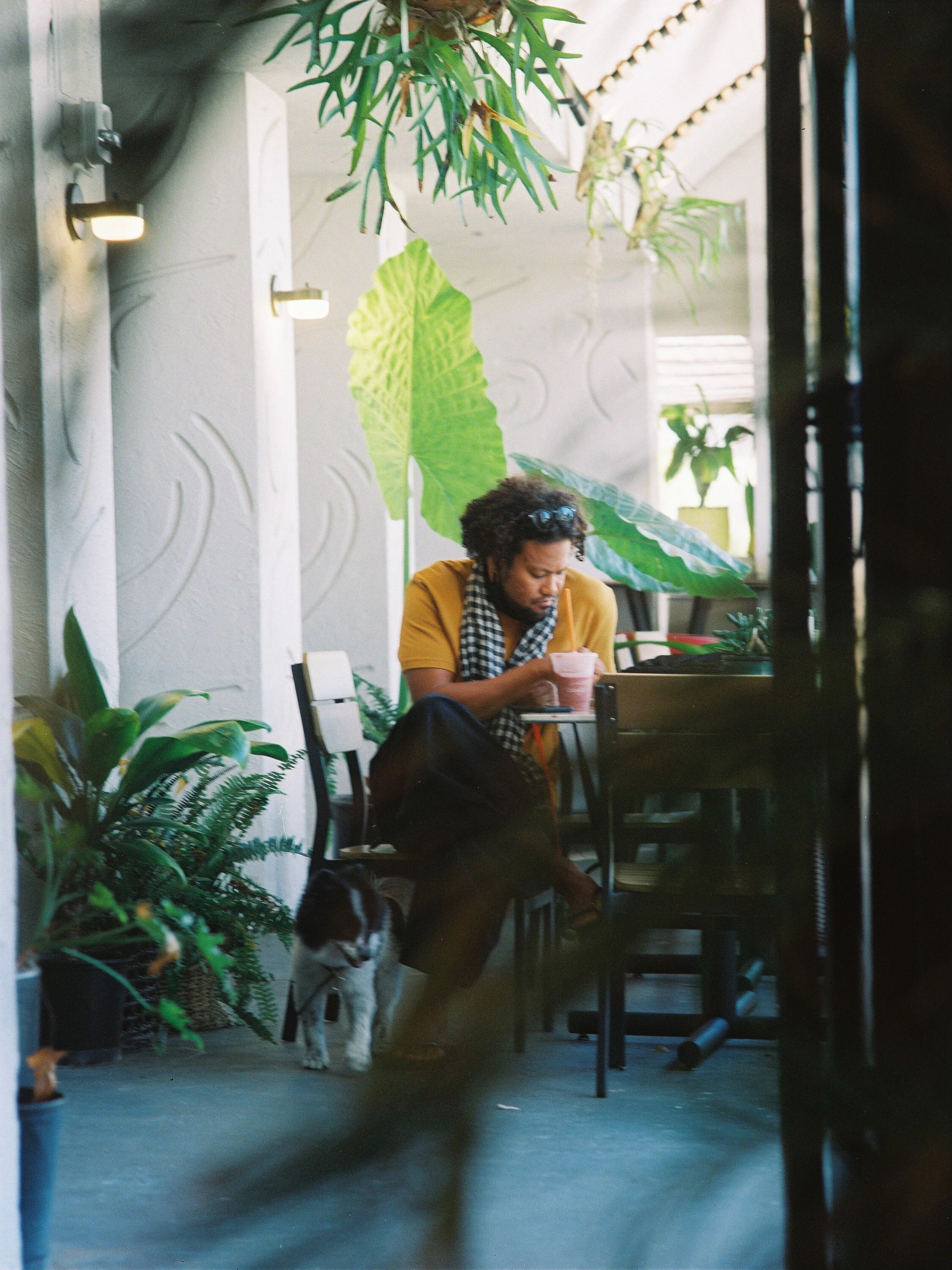 BoxJelly Hawaii's Original Coworking Space