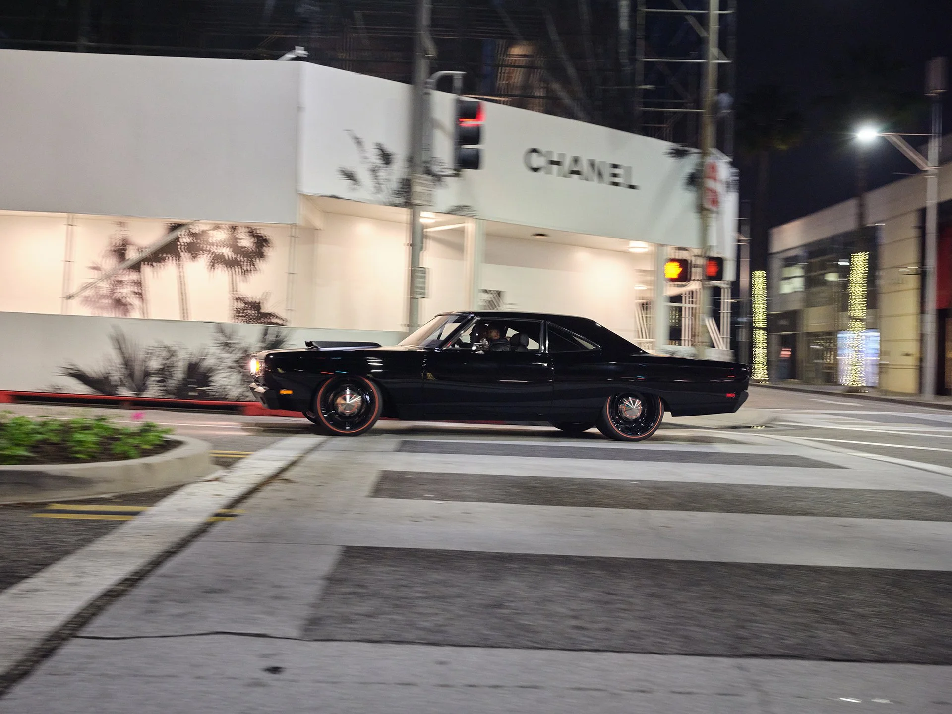_DSF8741.jpg