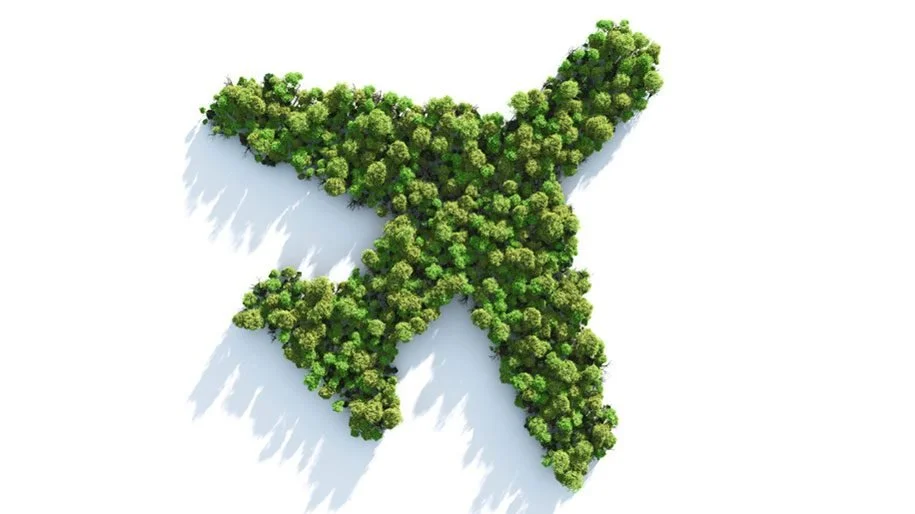 Top 5 Sustainable Items I Pack for Each Trip