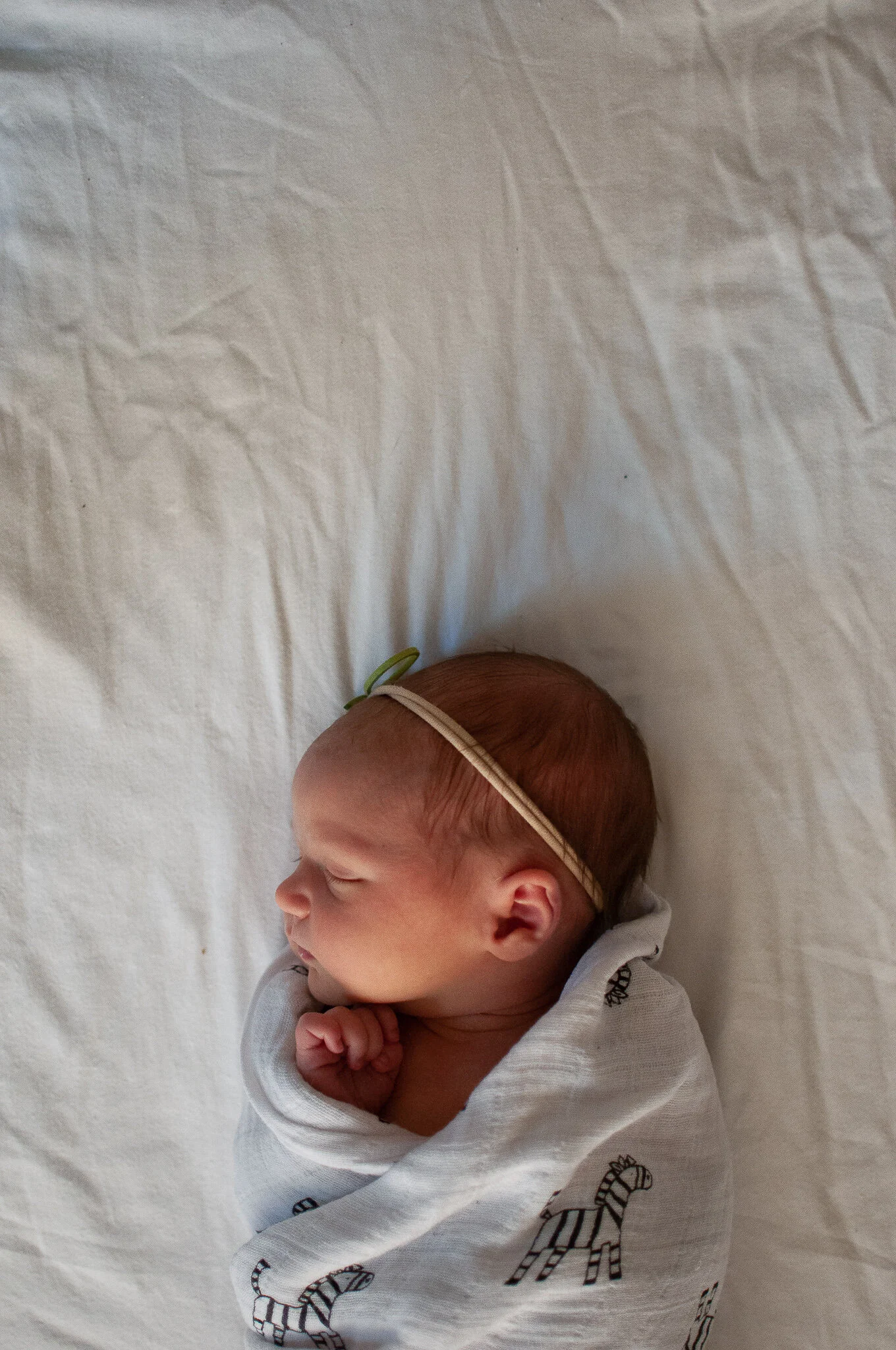 In-Home Newborn - Freya Miller (110).jpg