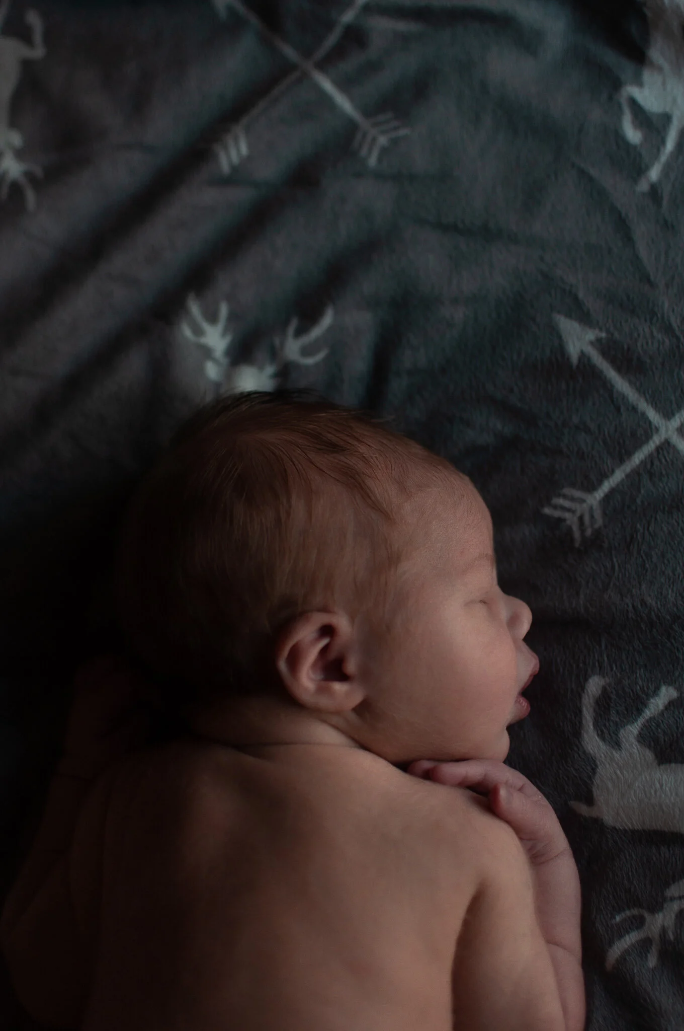 Freitag Family Newborn (55).jpg