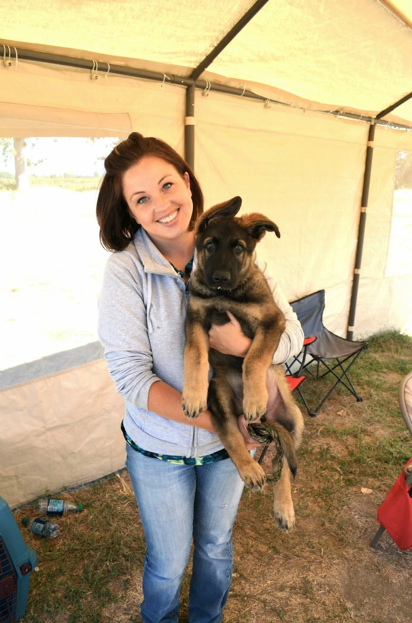 nosey dog training