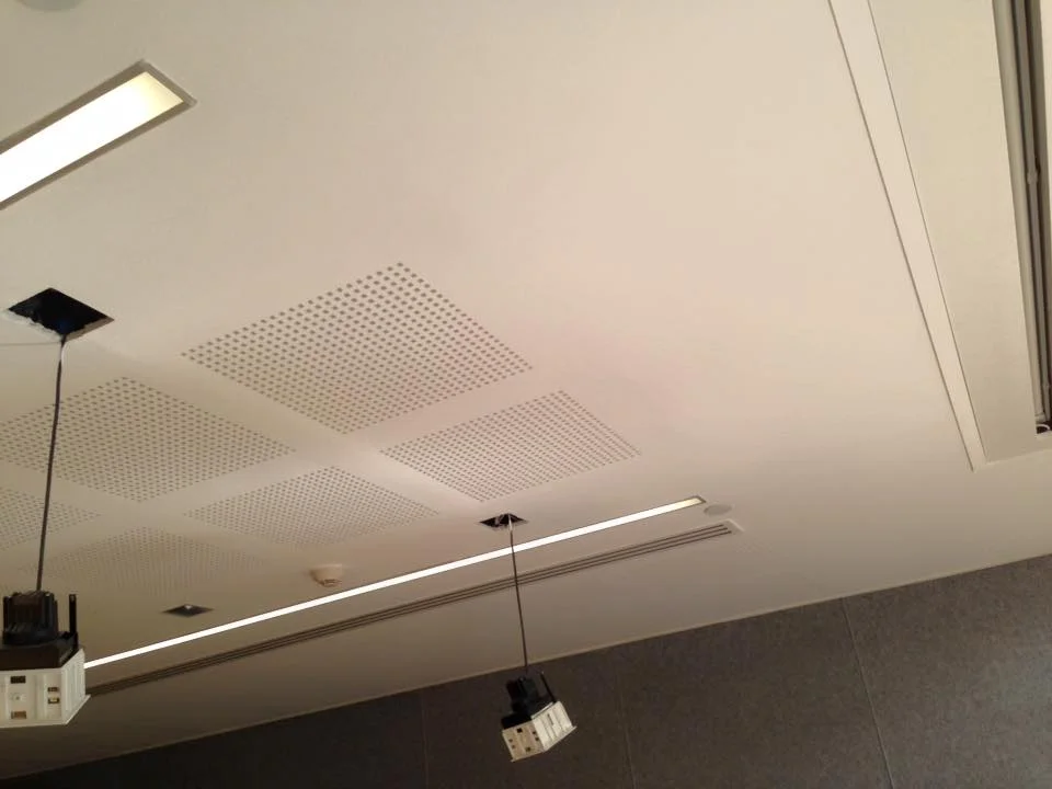 Ceiling cut out fin.jpg