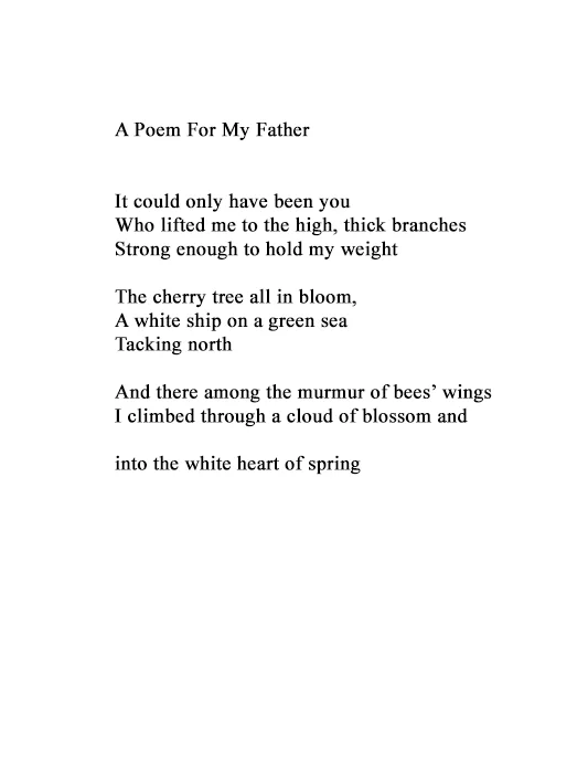 Poem for my Father 22.jpg