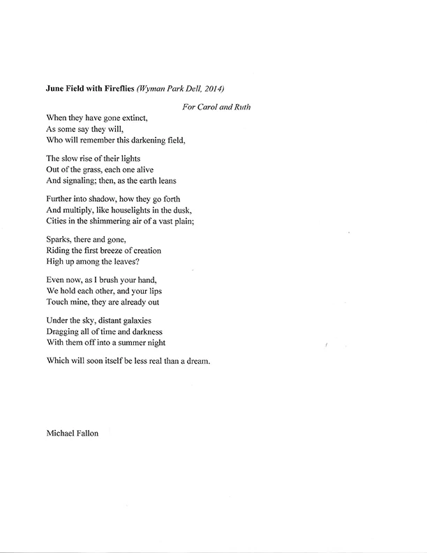 Essay 3 Madman Among The Fireflies Michael Fallon Poet And Essayist Essay 3 Madman Among The Fireflies Michael Fallon Poet And Essayist