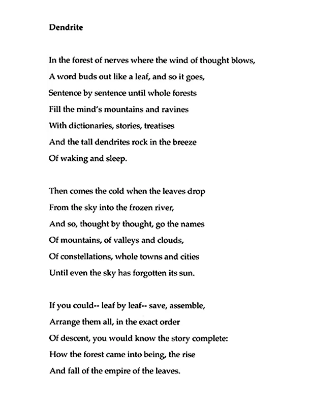 Dendrite poem.jpg