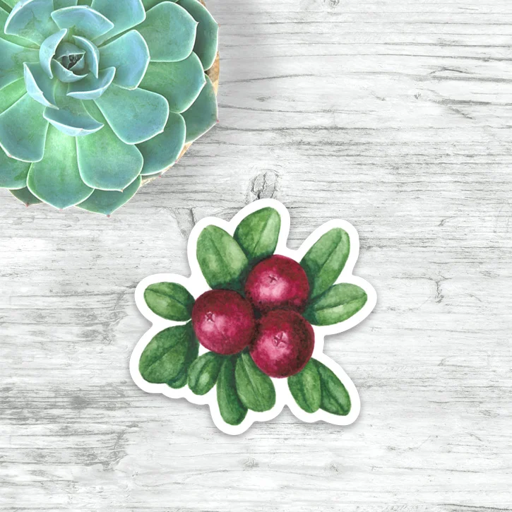 1STICKER-CRANBERRIES.jpg