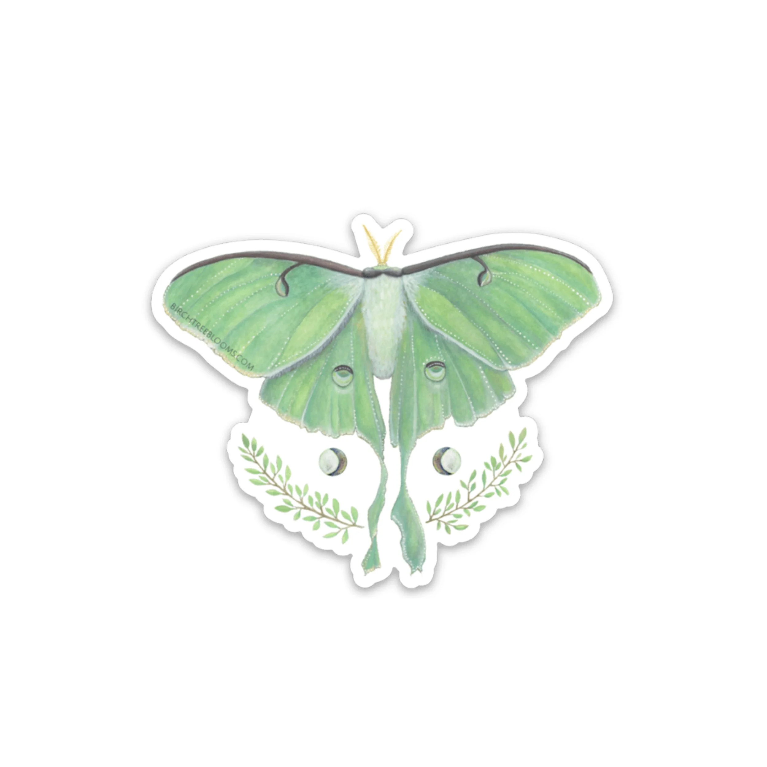 | LUNA MOTH | 3" Vinyl Sticker