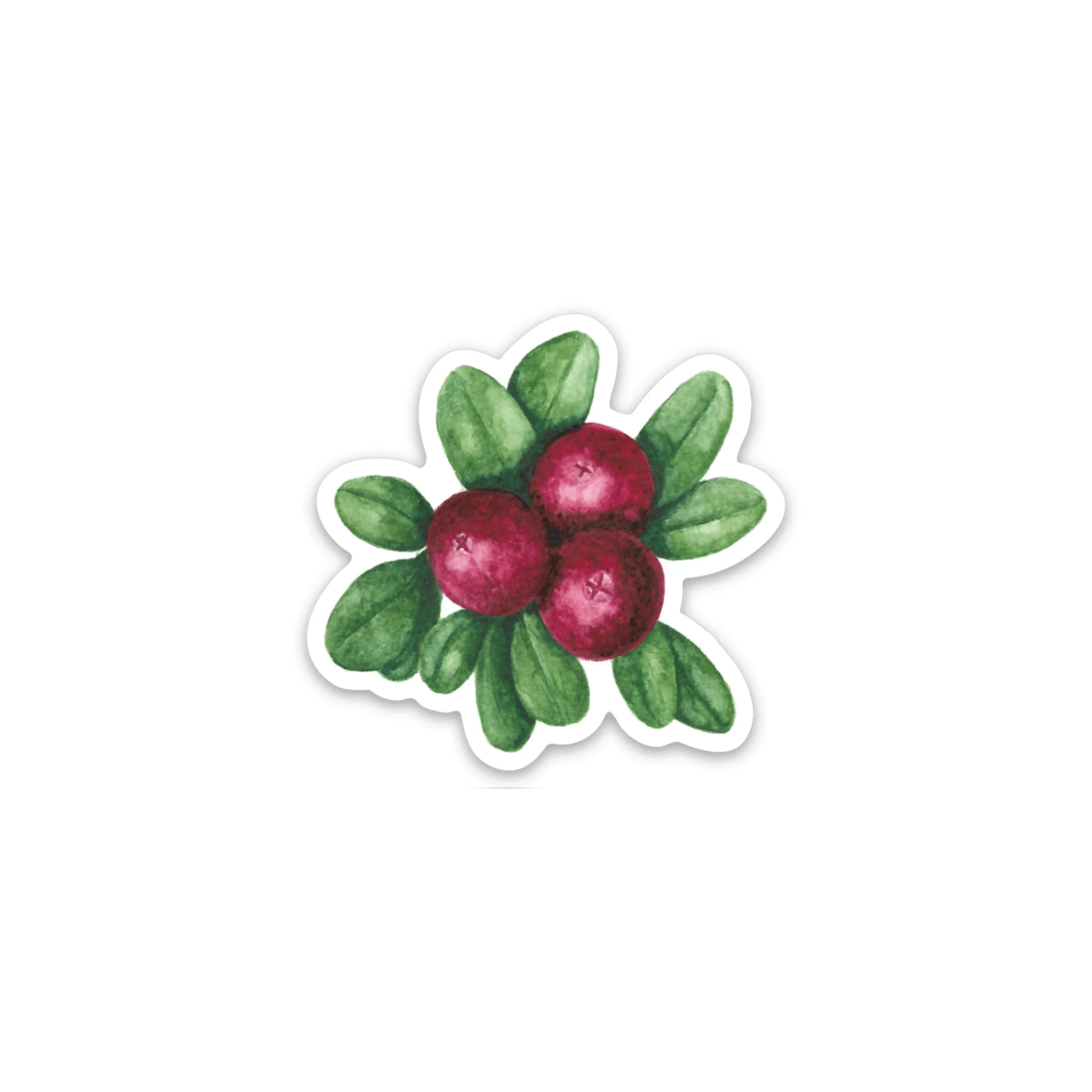 | CRANBERRIES | 2" Vinyl Sticker