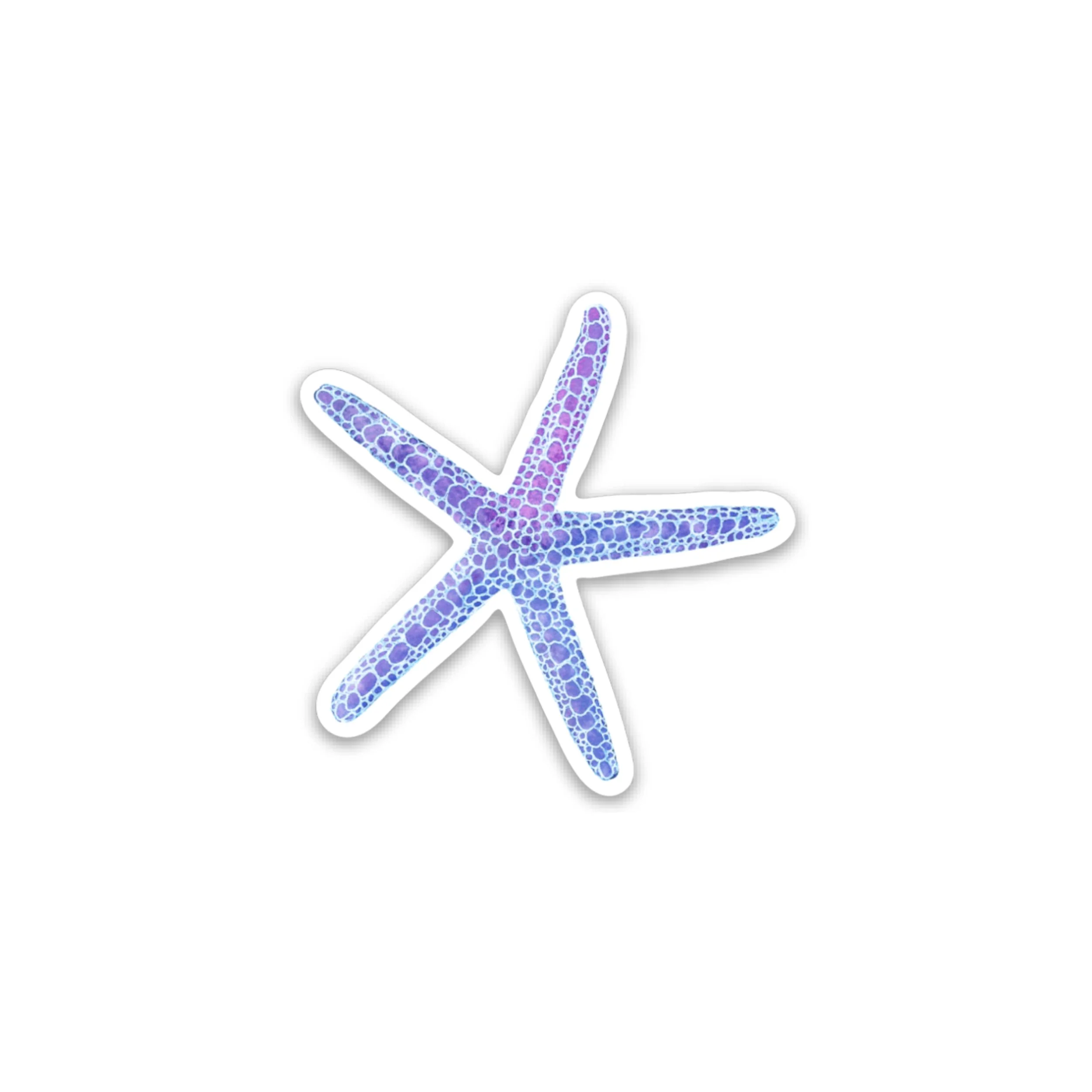 | STARFISH PURPLE | 2" OR 4" | Sticker