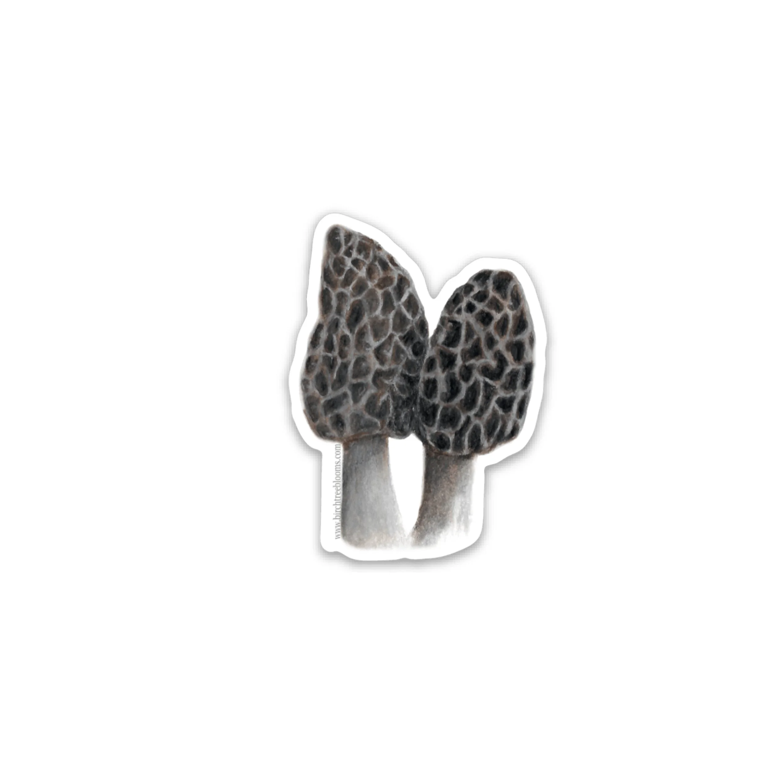 | MOREL MUSHROOMS | 2" Sticker
