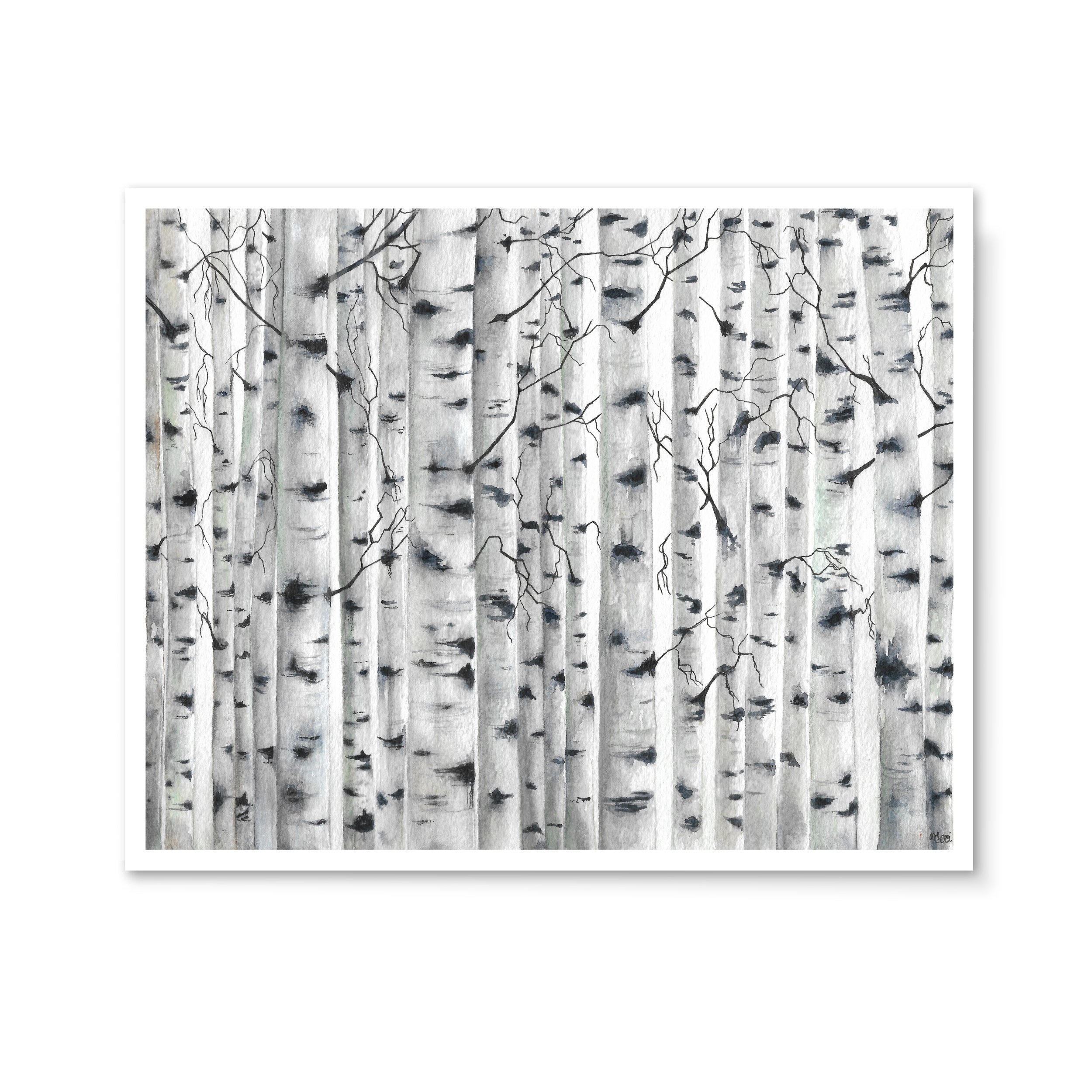 Web-Print Birches.jpg