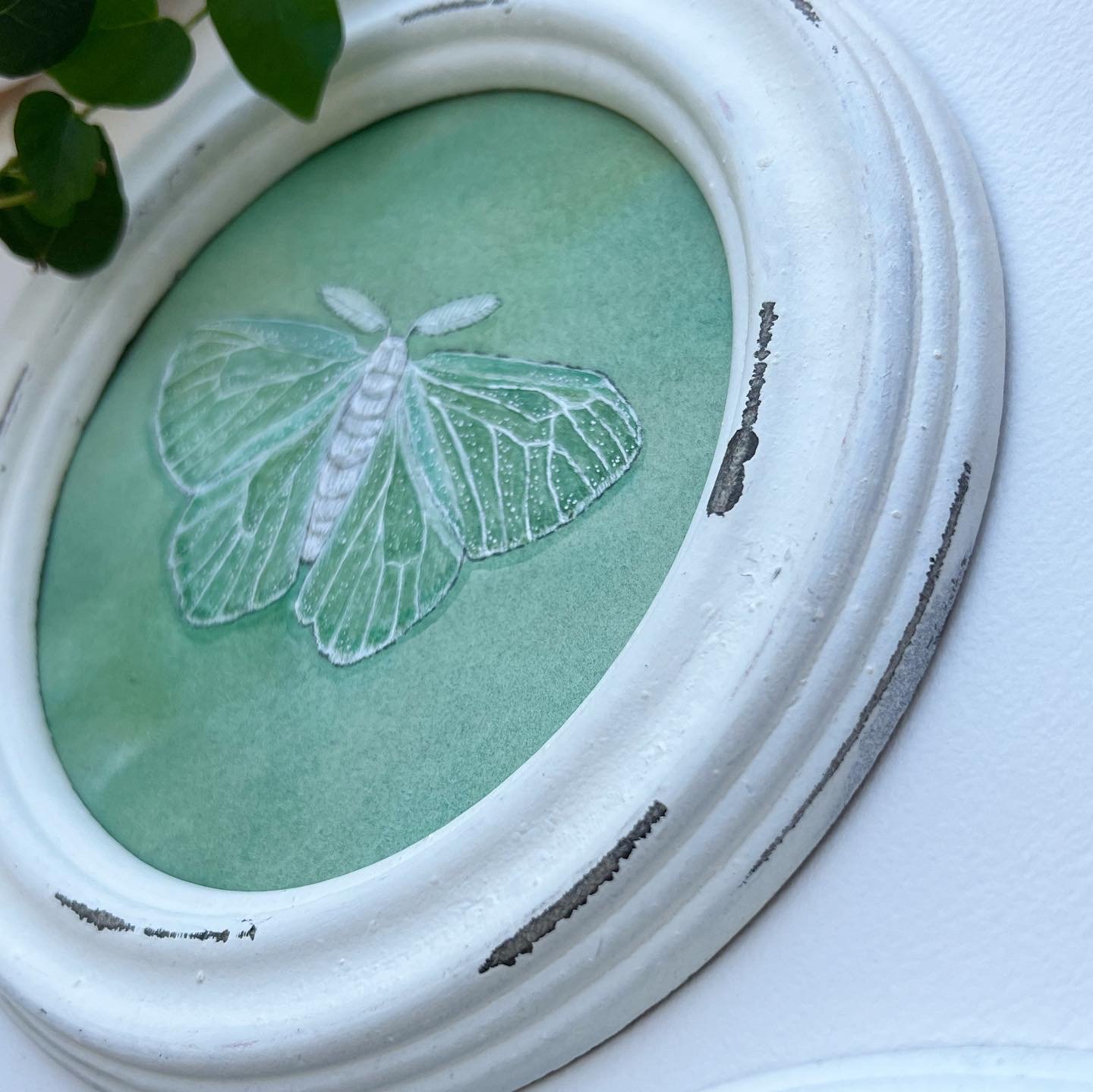 6E9A0BA0-370D-4F3E-83D7-3B973950DE50 2.JPG