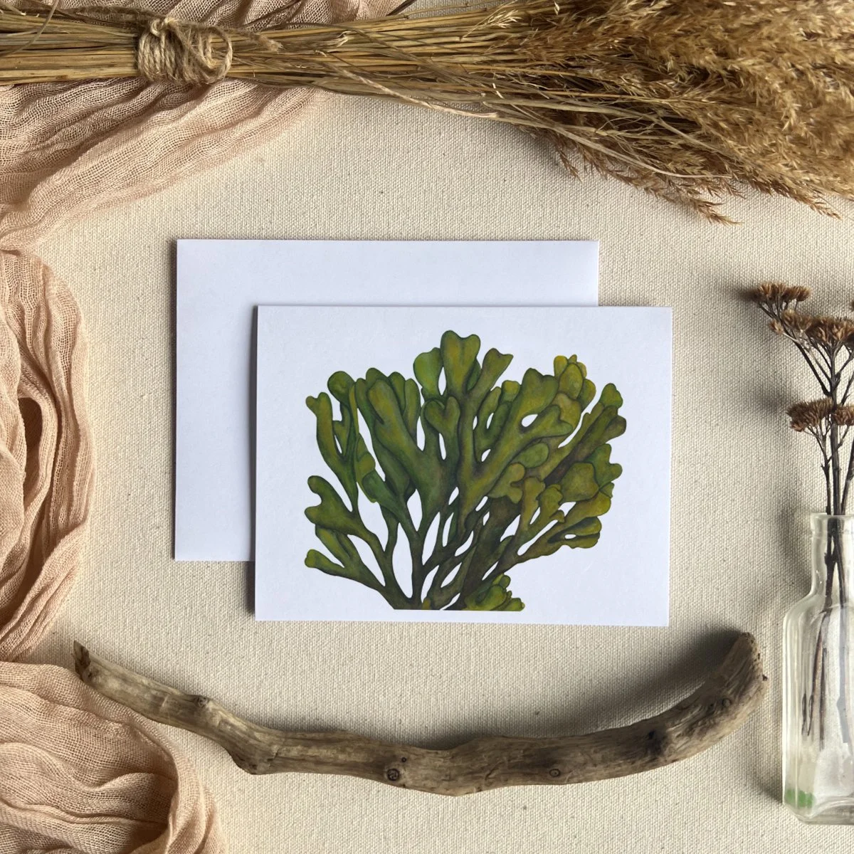 CARD-SEAWEED.jpg