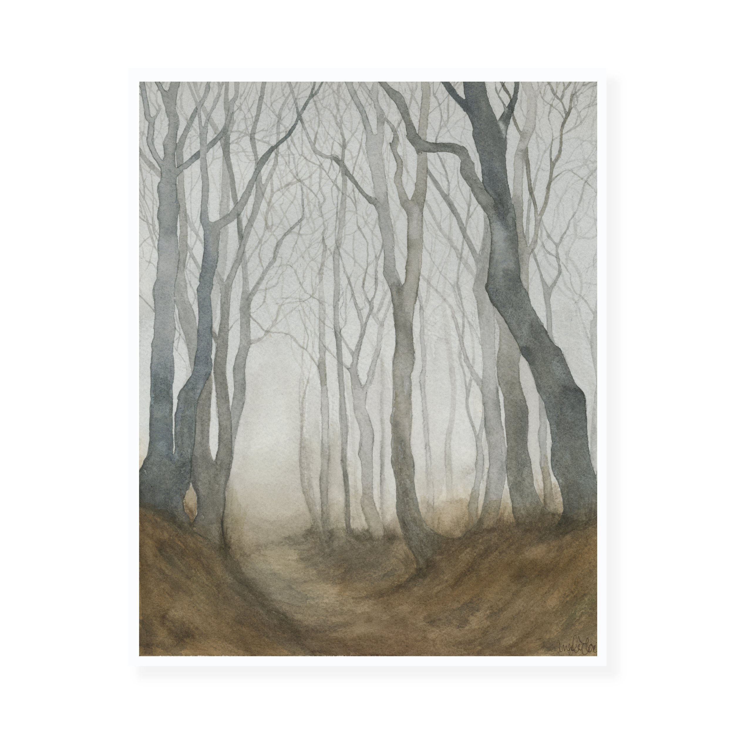 WEB- MISTY FOREST-PRINT.jpg