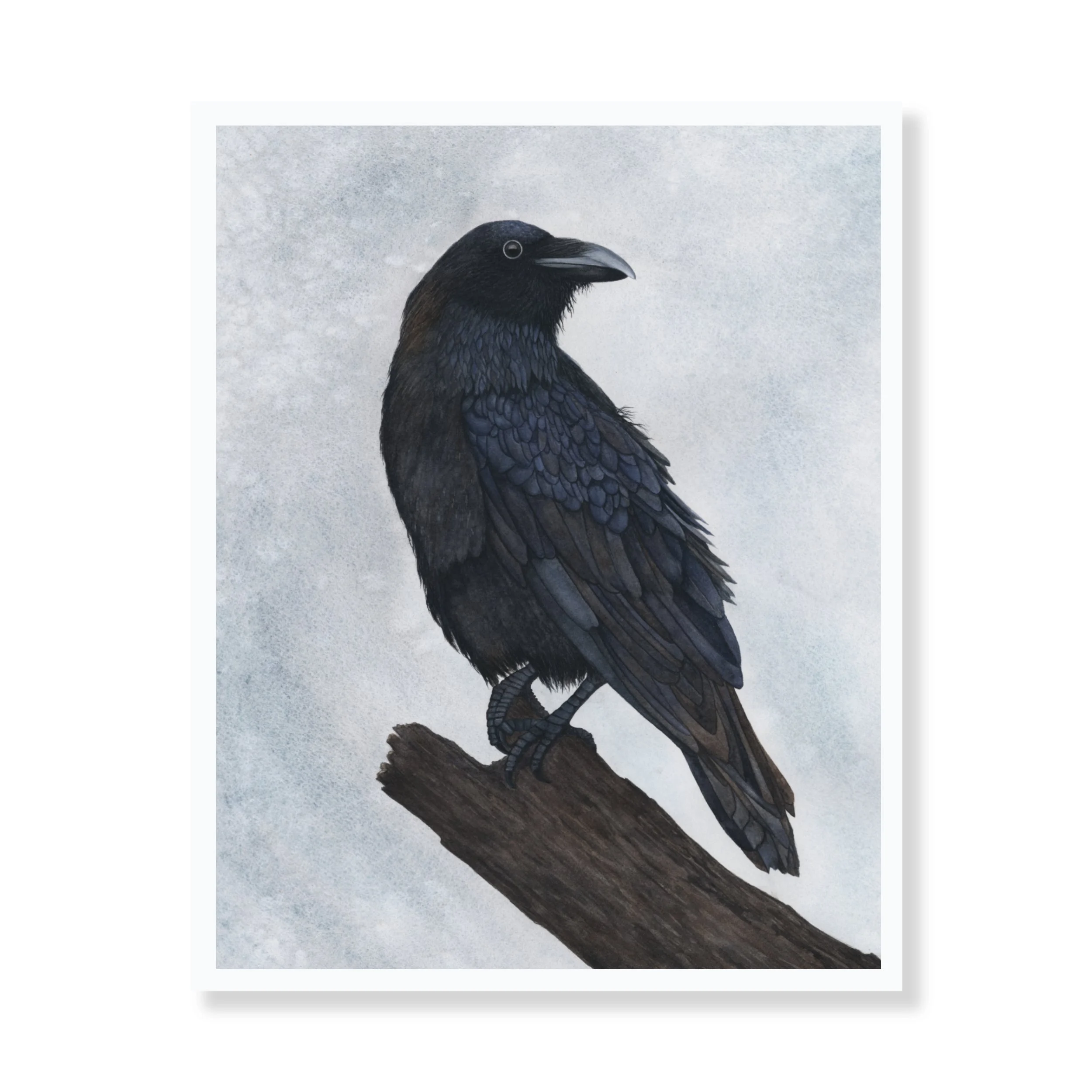 Website-RavenPrint.jpg