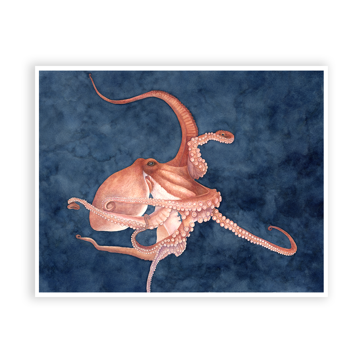 | Into the Deep | Octopus | Print