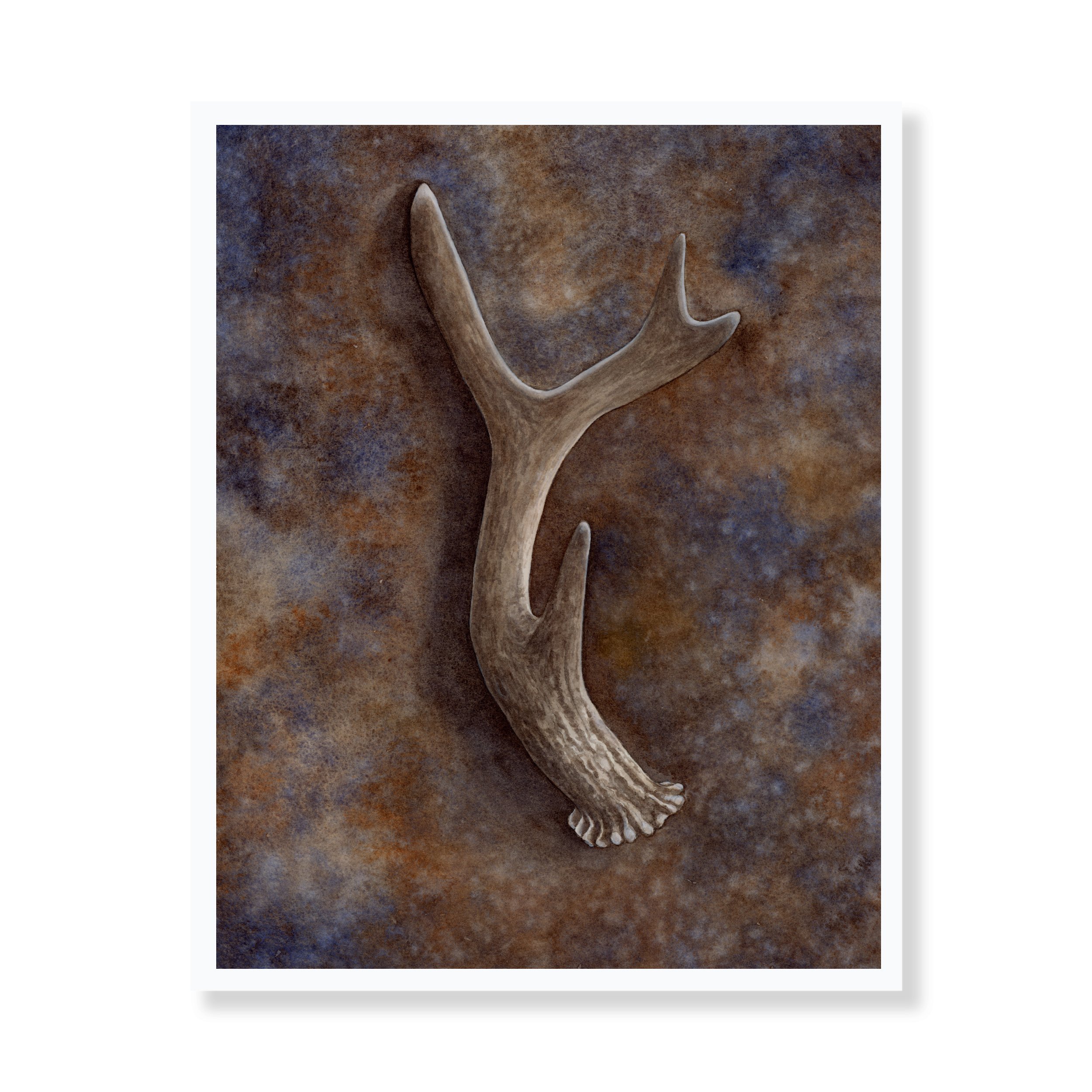 Web Antler Print.jpg