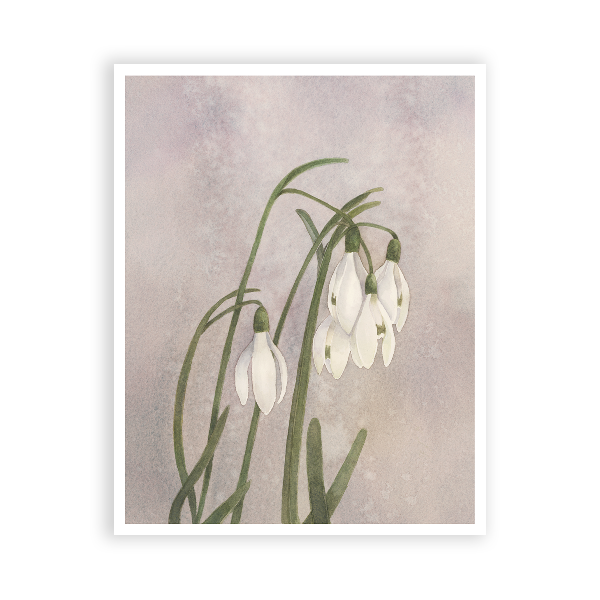 WebPrints Snowdrops.png