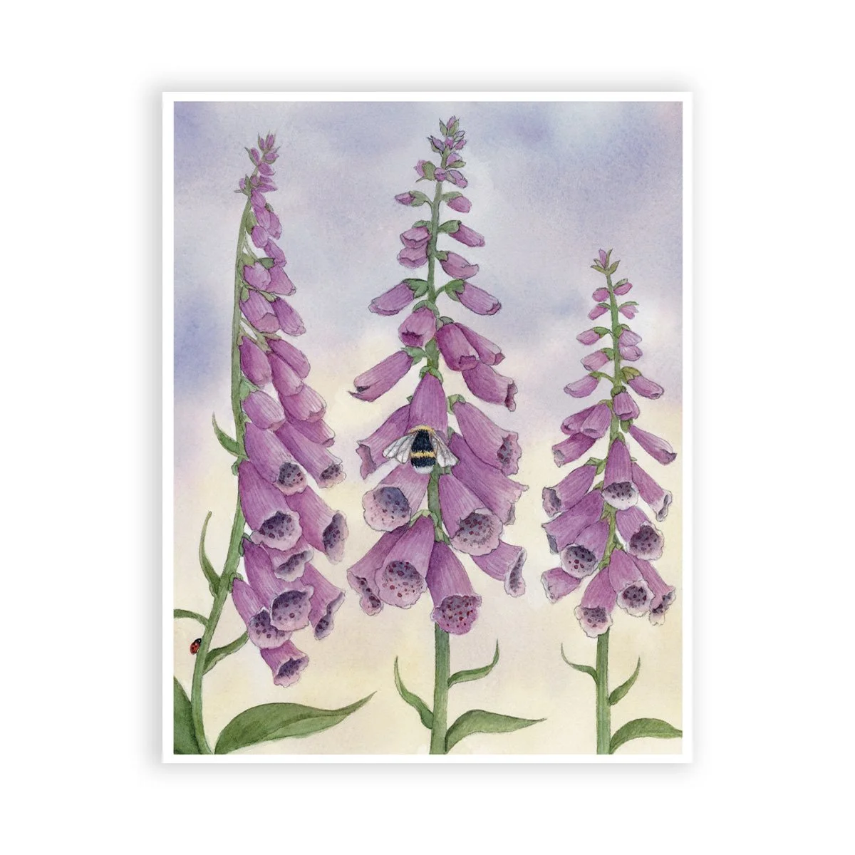 WebPrints Foxglove.jpg