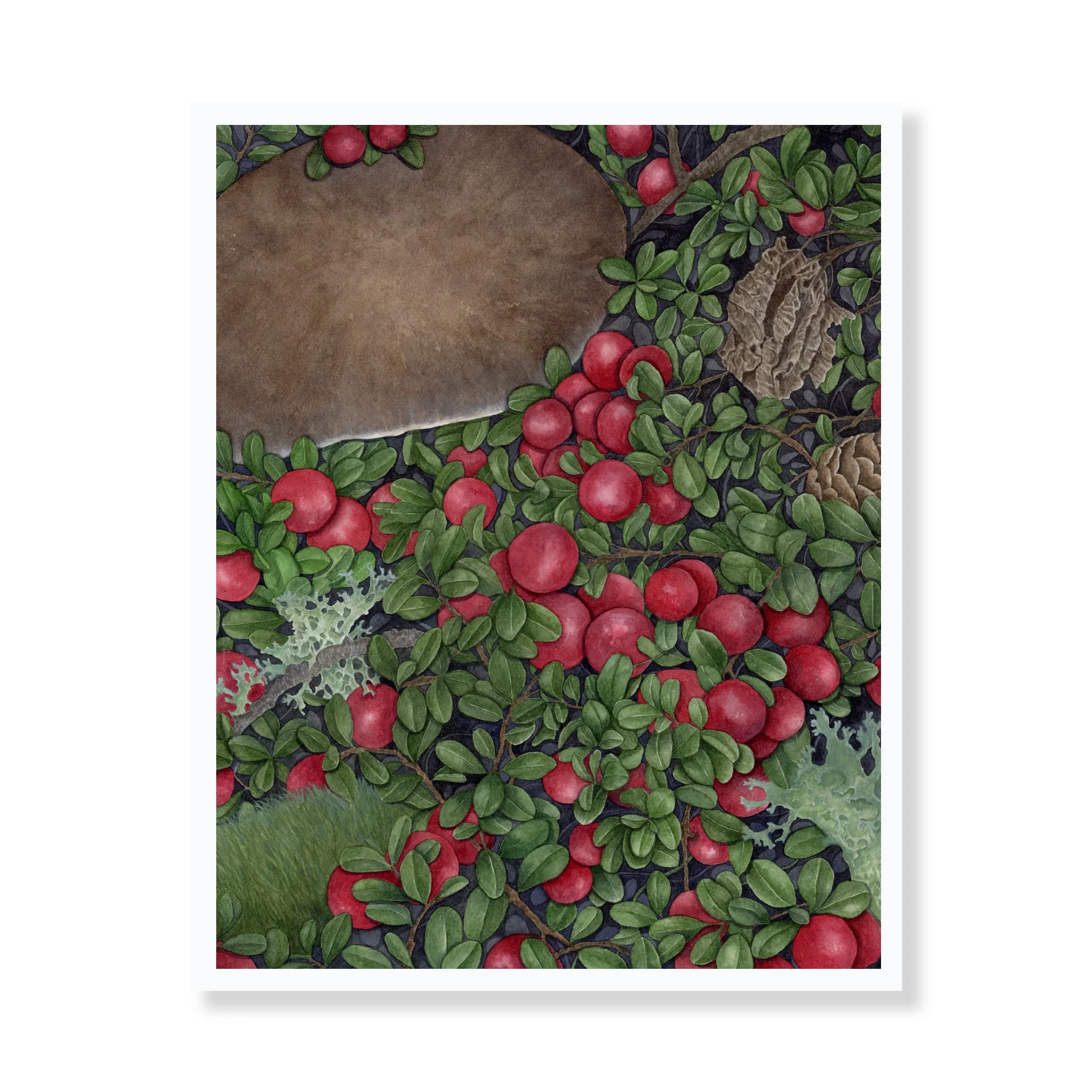 | AUTUMNAL CRANBERRIES | Print