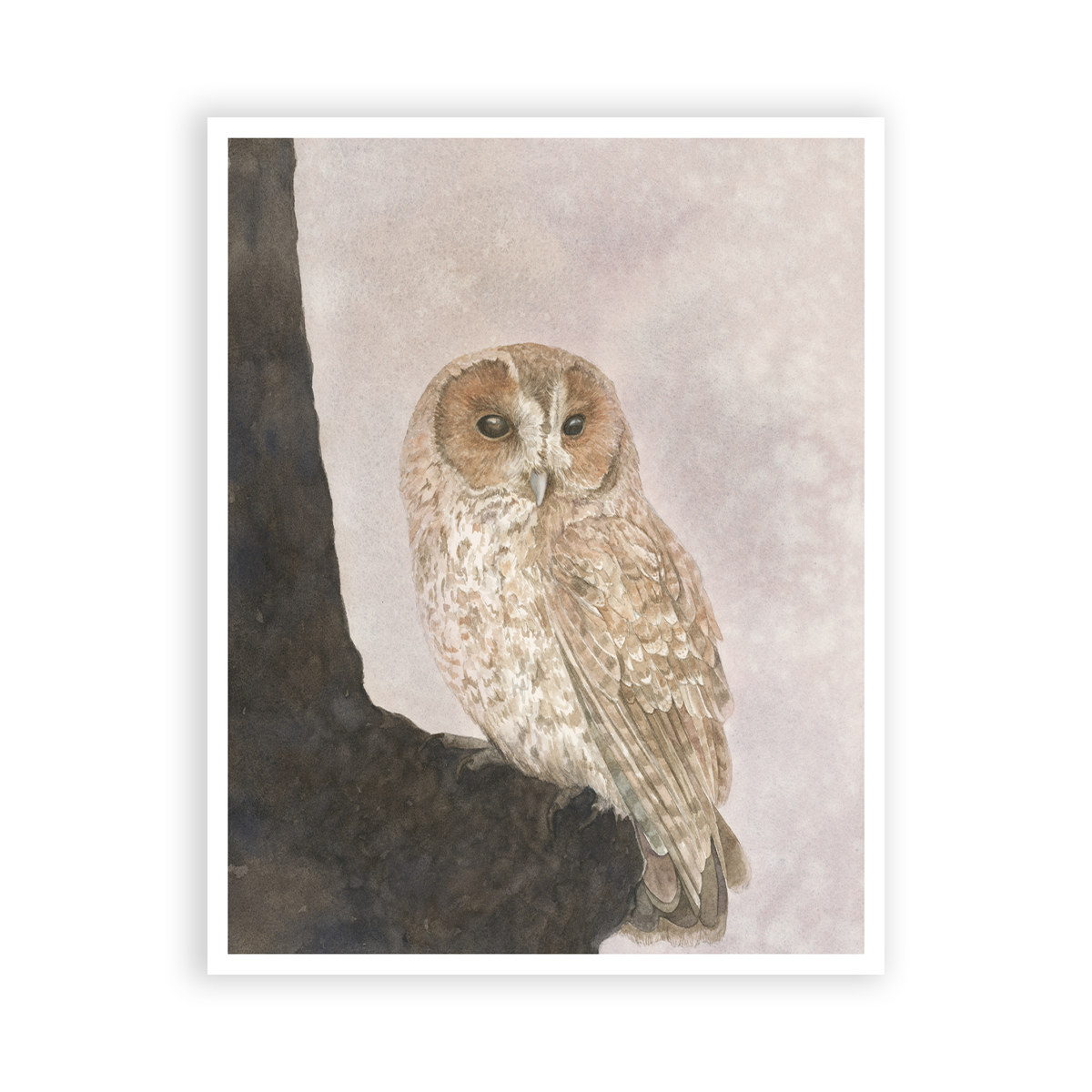 | LISTENING LIGHT | PRINT