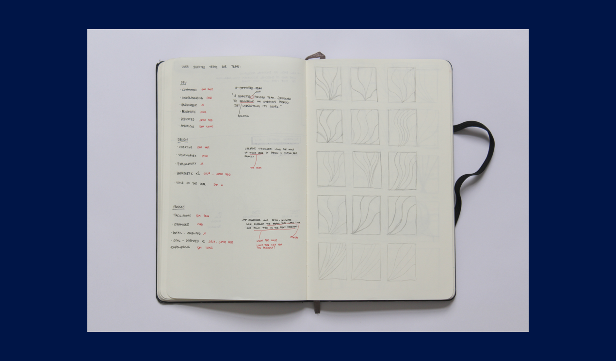 Early concepts of team statements and logos using abstract line-style