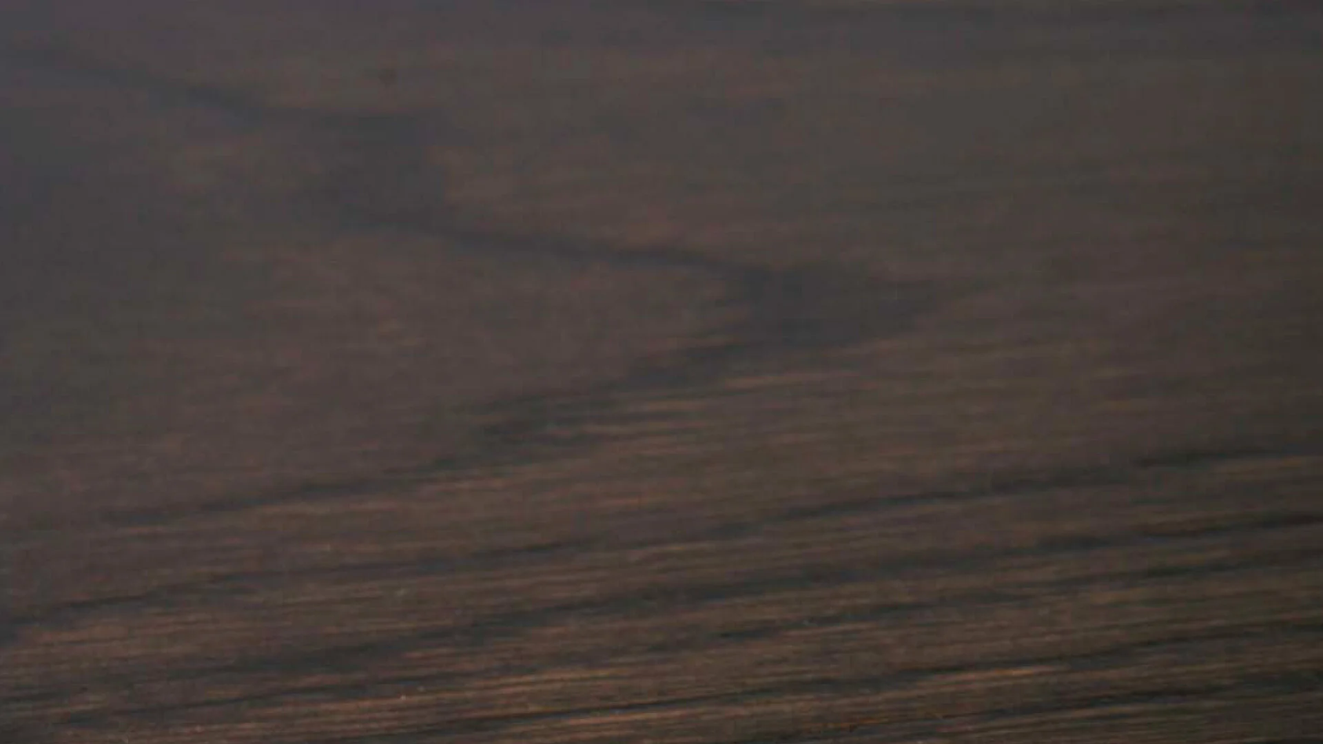 Timber Veneer