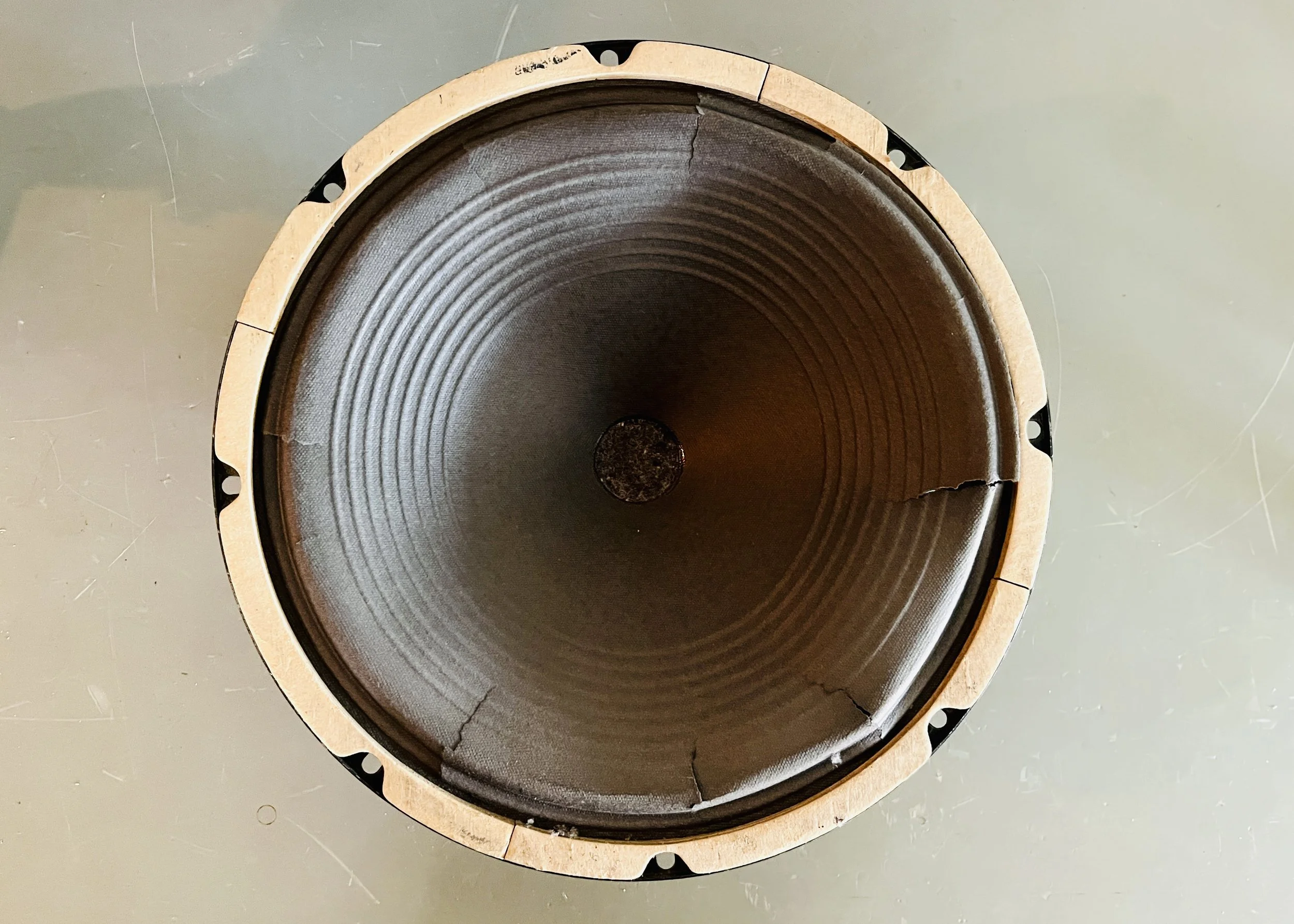 Old Jensen Speaker - Blown