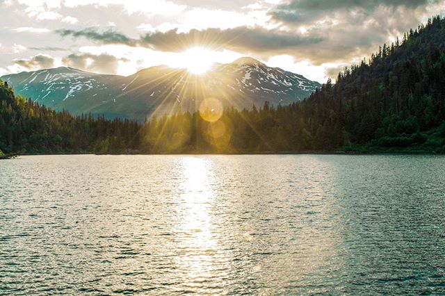 About 30 percent of the land on earth is made up of forests; that&rsquo;s 15 million square miles and the US government maintains more than 188 million acres of US national forests.⠀
📸 : @funkmastacrump.⠀
.⠀
.⠀
.⠀
.⠀
.⠀
#wearethewild #campingvibes #
