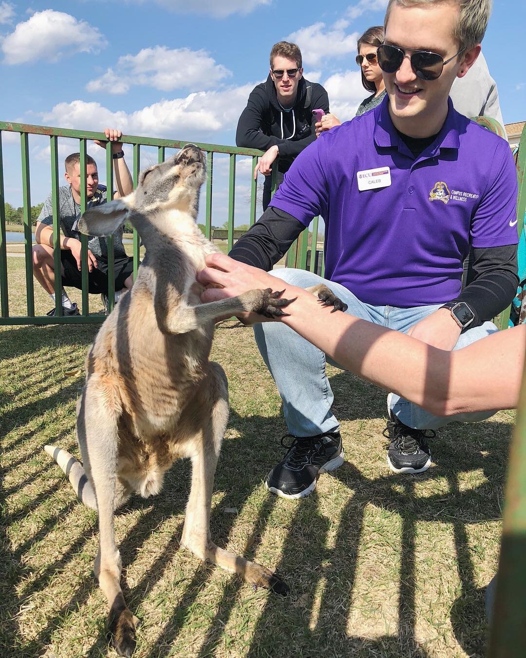 Nothing could roo-in a day like this!