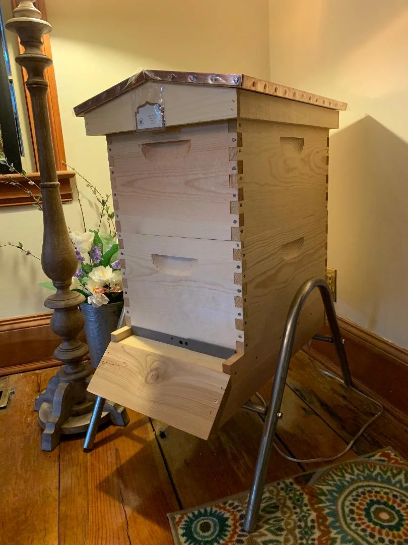 8f garden hive.jpg