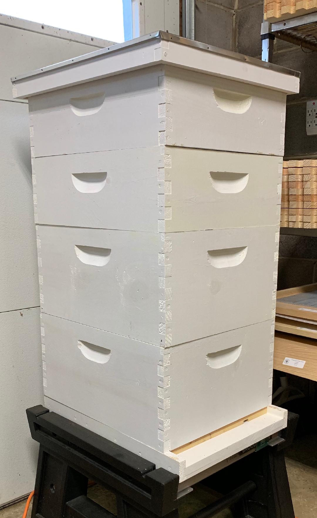 10f hive.jpg