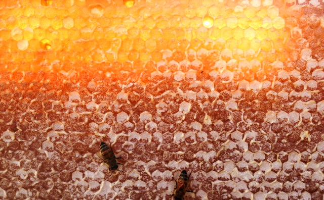 Summer Prep Workshop 2021