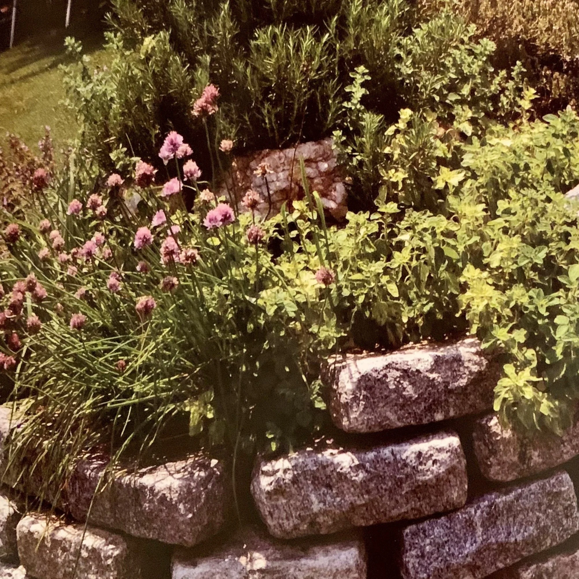 Community Garden Art and Nature-Build a Spiral Herb Garden