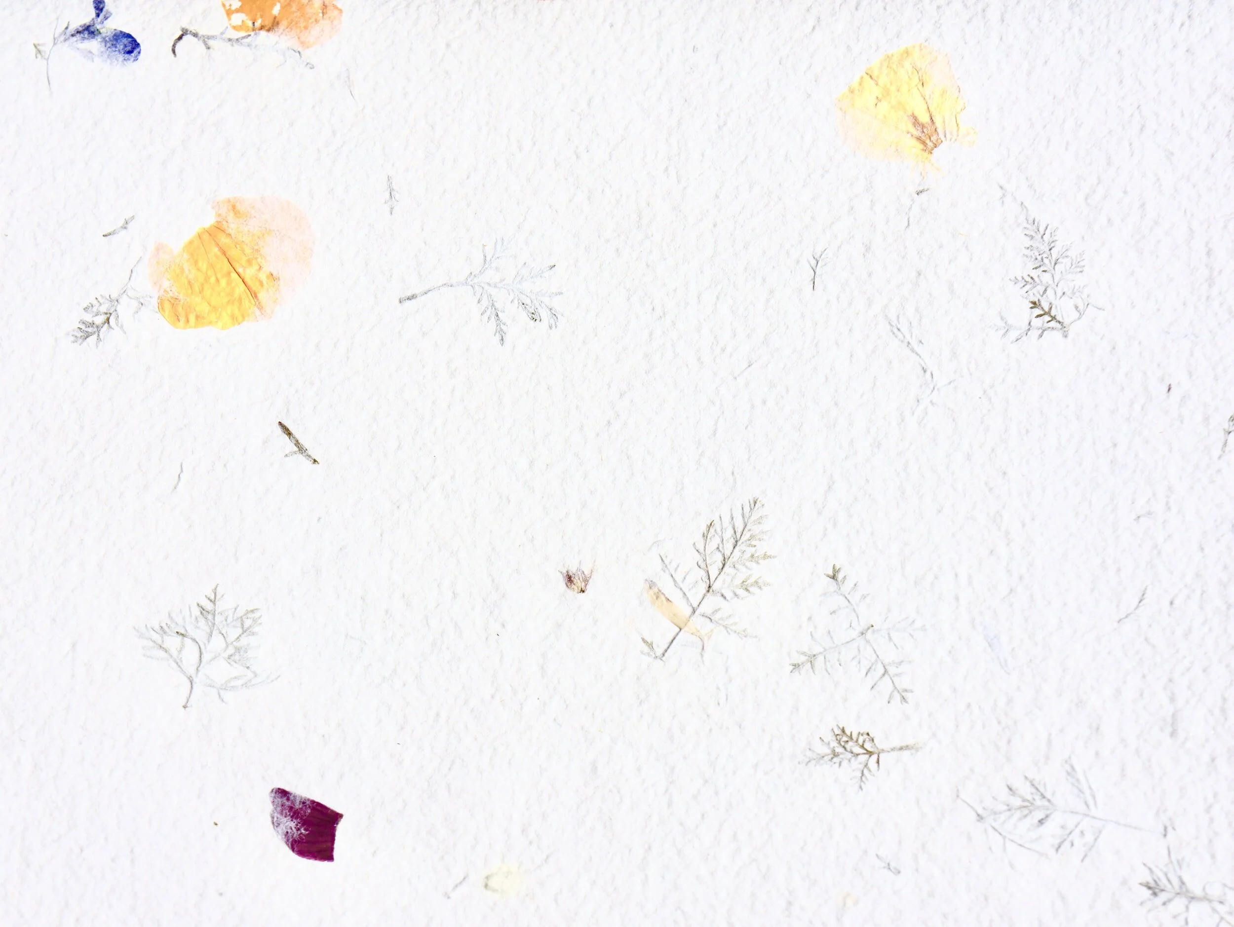 Crafting Handmade Seed Paper