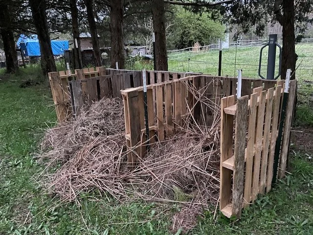 Community Garden Learning-Trash to Treasure