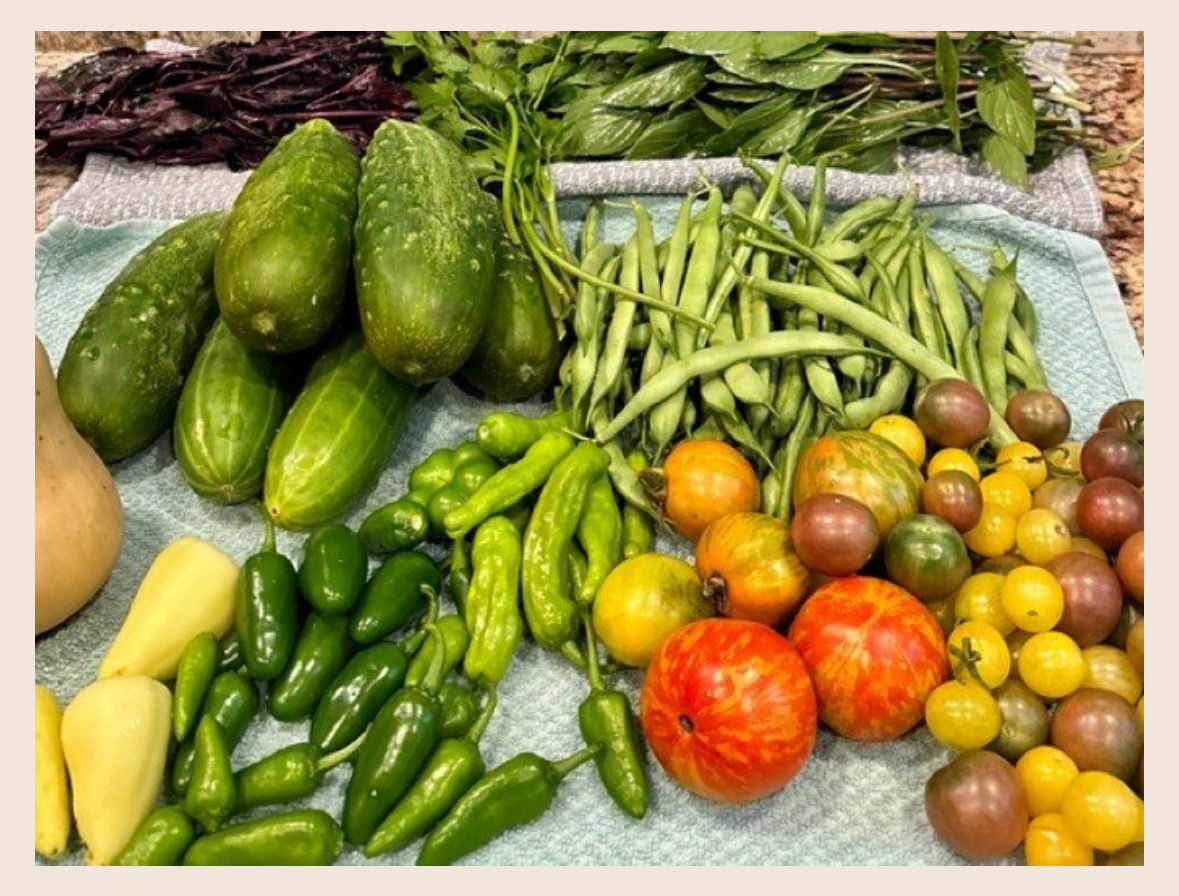 Community Garden Art and Nature-Preserving the Harvest